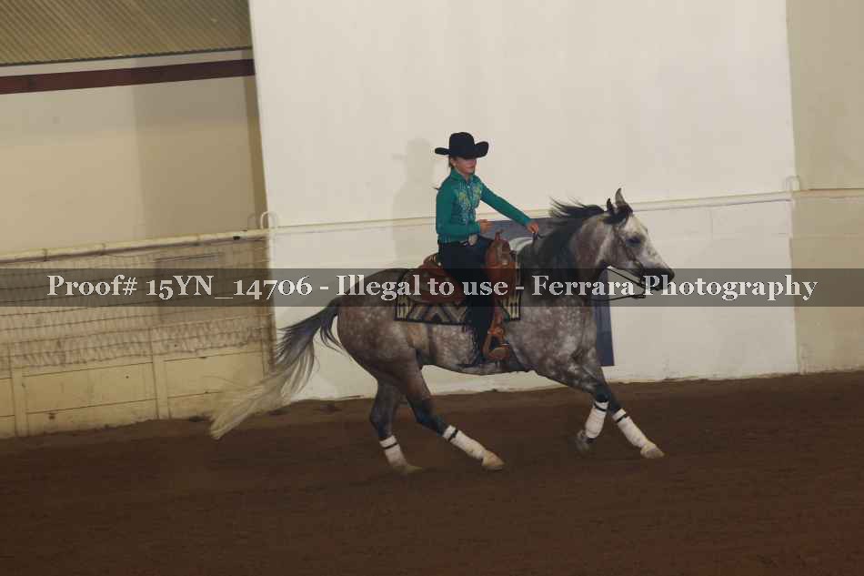 Proof Number 15YN_14706
