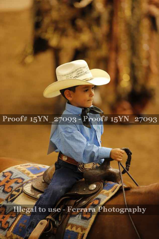 Proof Number 15YN_27093