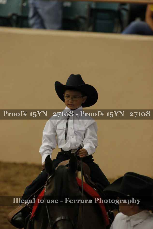 Proof Number 15YN_27108