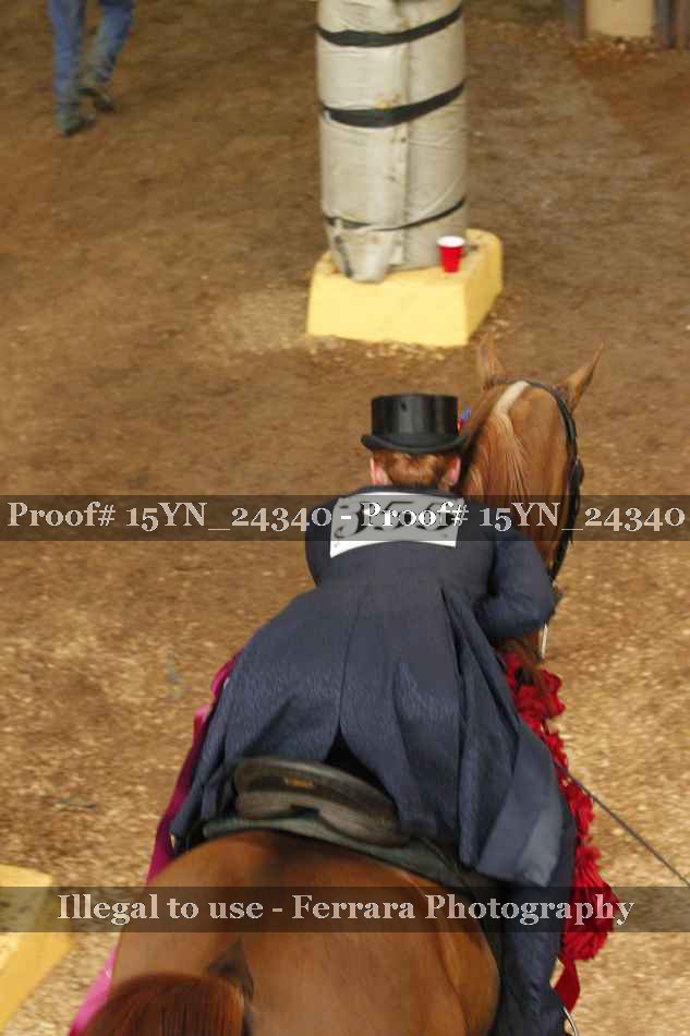 Proof Number 15YN_24340