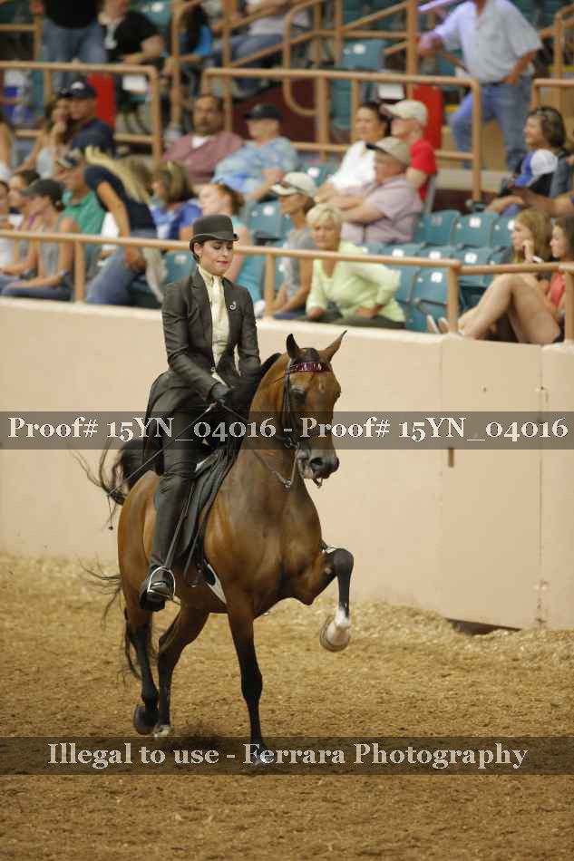 Proof Number 15YN_04016