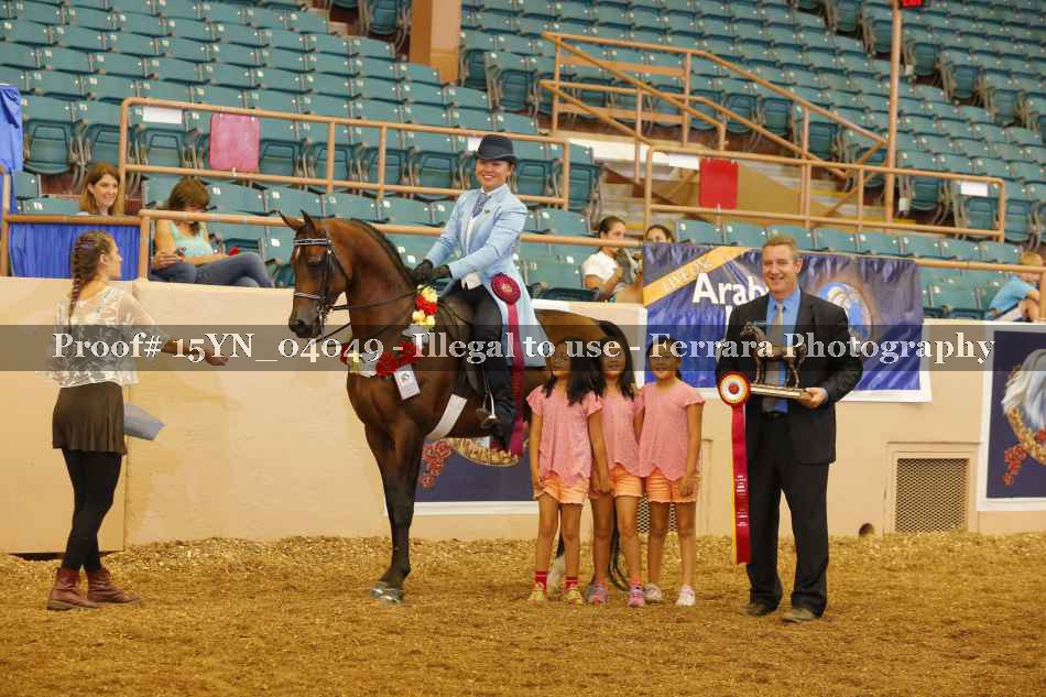 Proof Number 15YN_04049