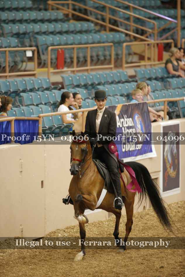 Proof Number 15YN_04096