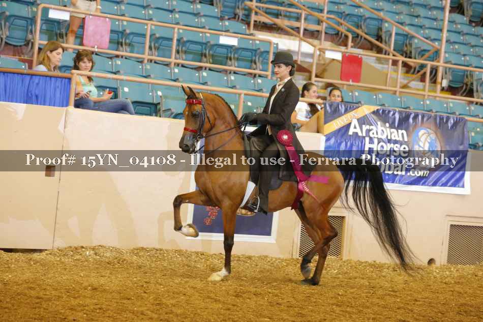 Proof Number 15YN_04108