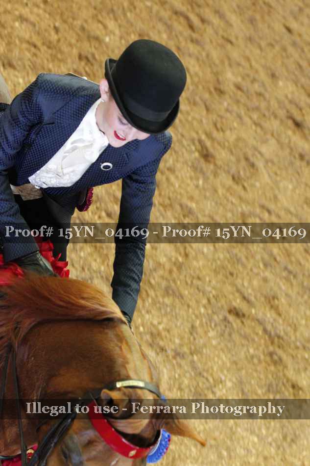 Proof Number 15YN_04169