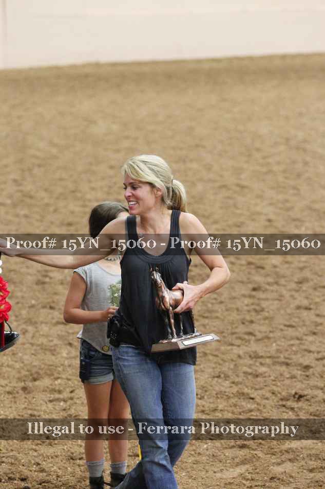 Proof Number 15YN_15060