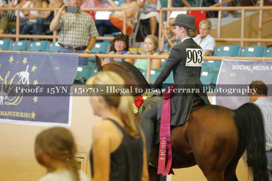 Proof Number 15YN_15070