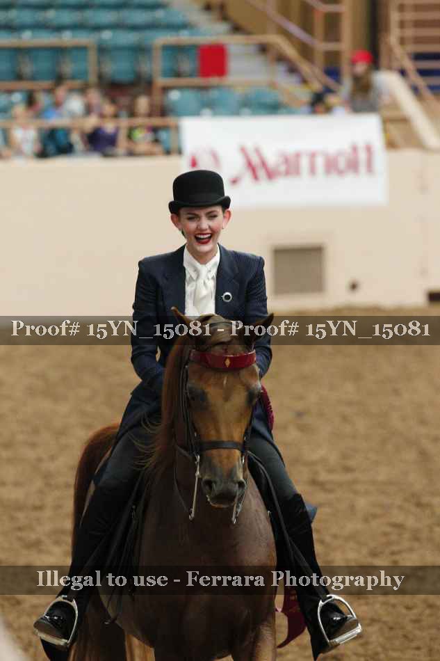 Proof Number 15YN_15081