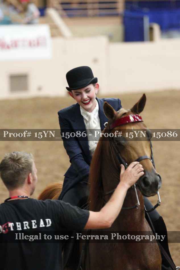 Proof Number 15YN_15086