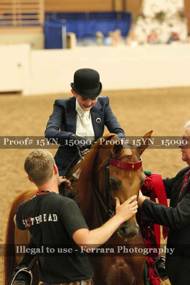 Proof Number 15YN_15090