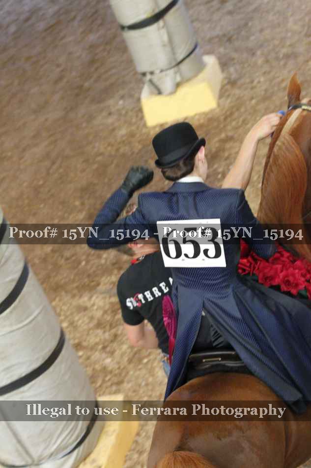 Proof Number 15YN_15194