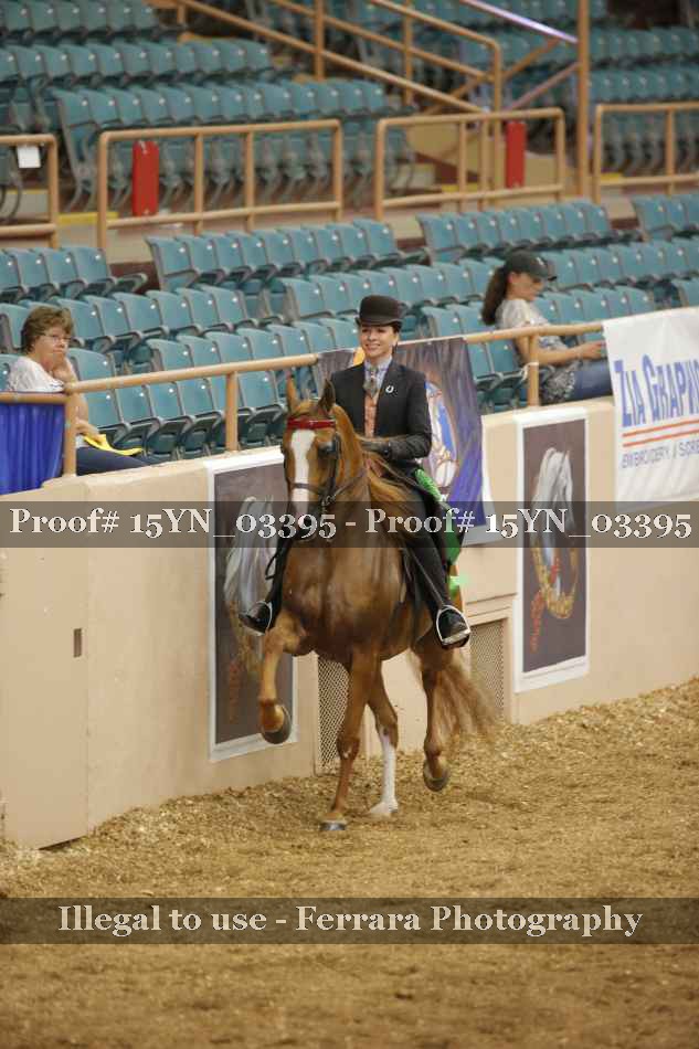 Proof Number 15YN_03395
