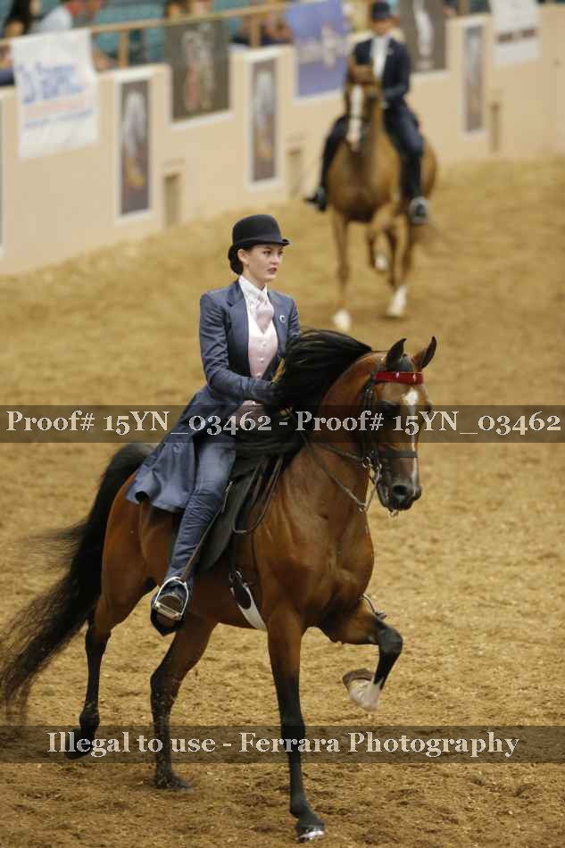 Proof Number 15YN_03462
