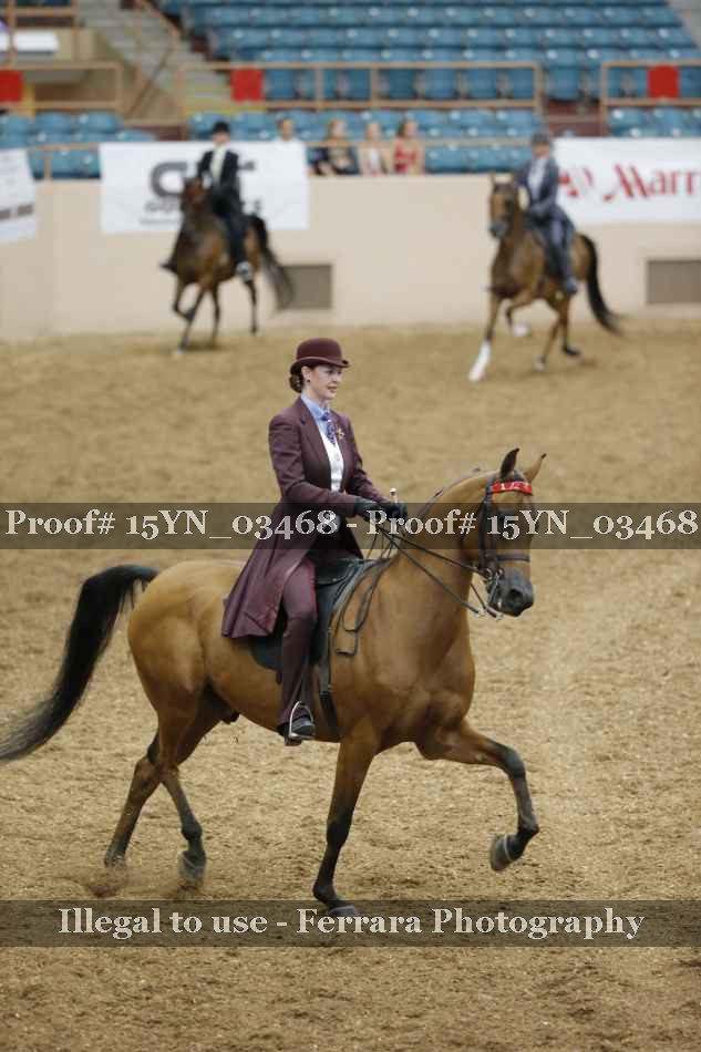 Proof Number 15YN_03468