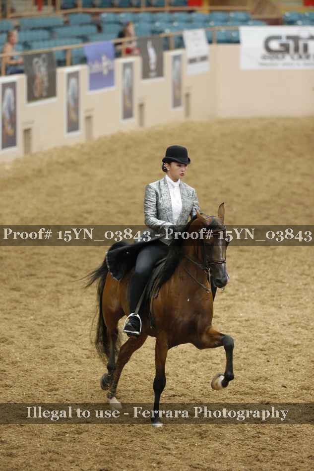 Proof Number 15YN_03843