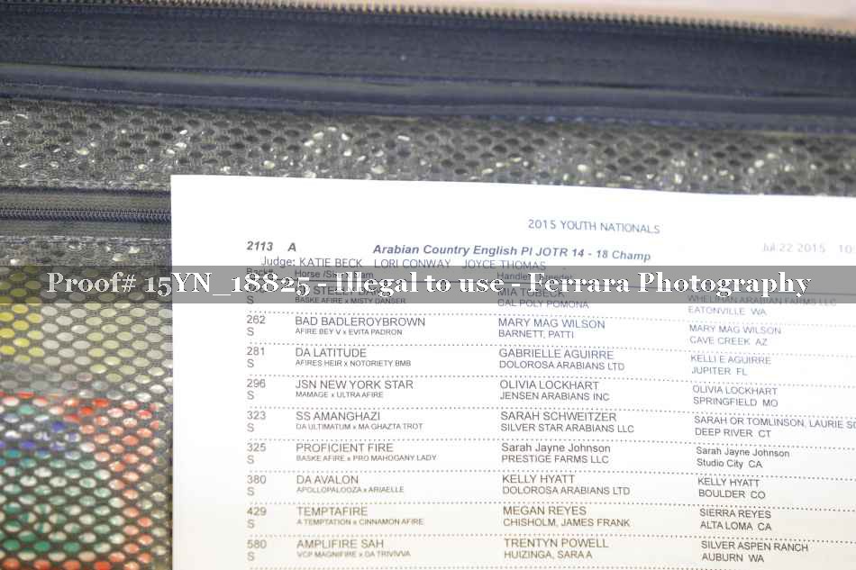 Proof Number 15YN_18825