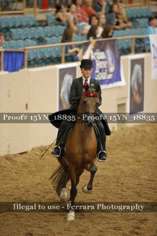 Proof Number 15YN_18835