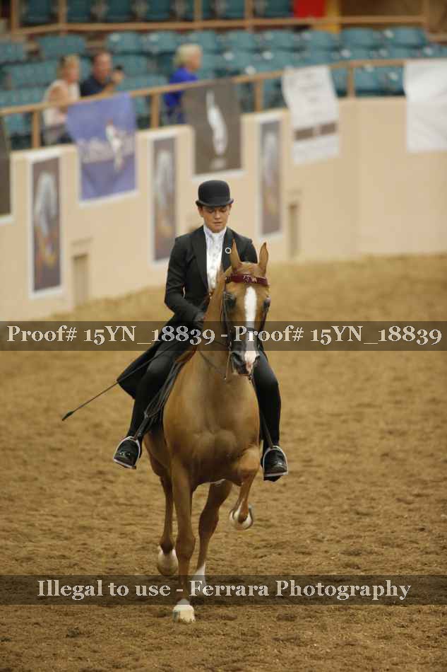 Proof Number 15YN_18839