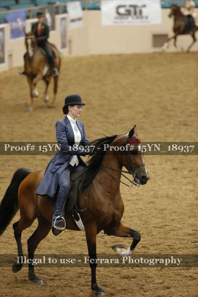 Proof Number 15YN_18937