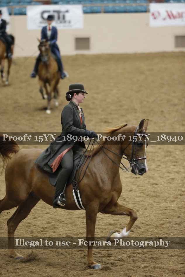 Proof Number 15YN_18940