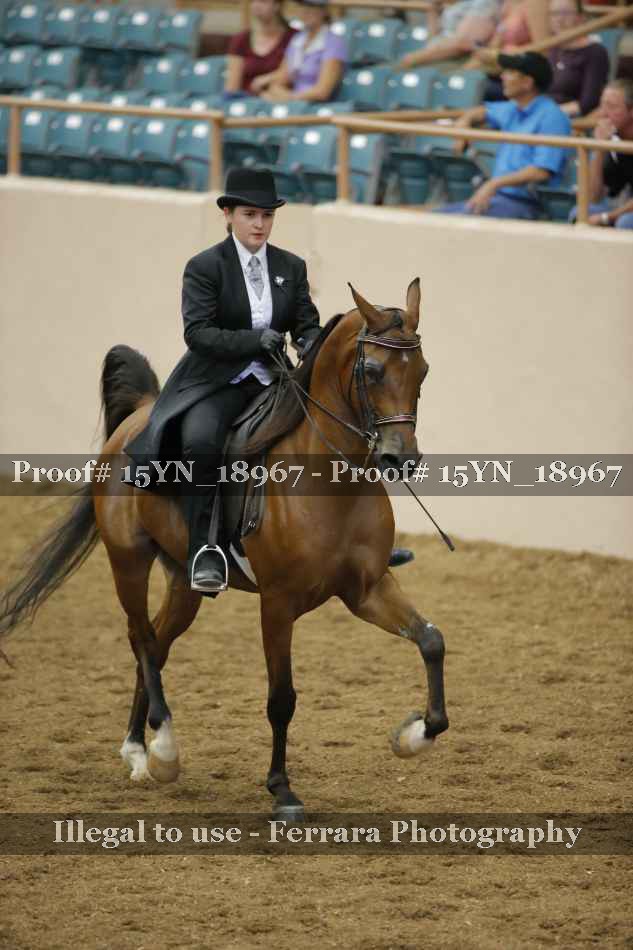 Proof Number 15YN_18967