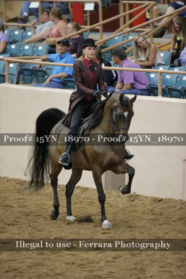 Proof Number 15YN_18970