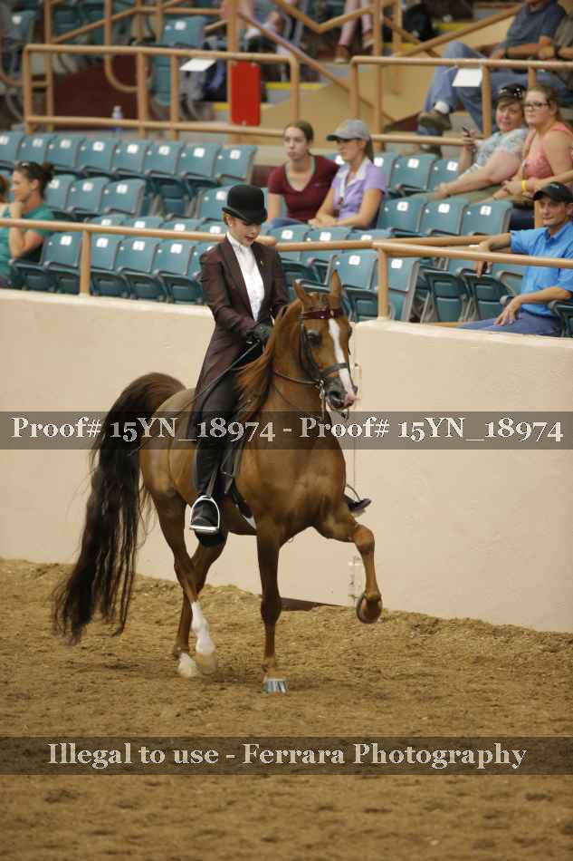 Proof Number 15YN_18974