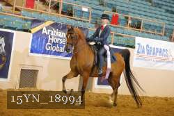 15YN_18994 thumbnail