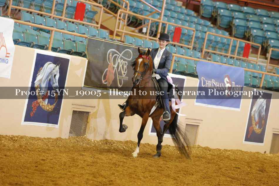Proof Number 15YN_19005