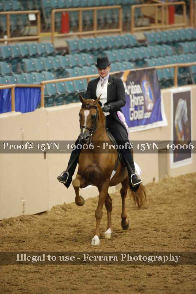 Proof Number 15YN_19006