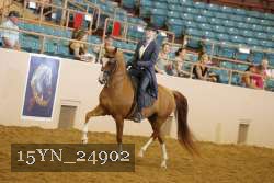 15YN_24902 thumbnail