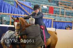 15YN_24961 thumbnail
