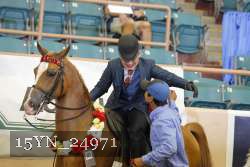 15YN_24971 thumbnail