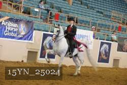15YN_25024 thumbnail