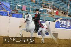 15YN_25025 thumbnail