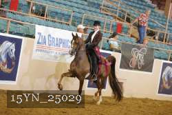 15YN_25029 thumbnail