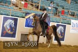15YN_25030 thumbnail