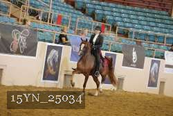 15YN_25034 thumbnail
