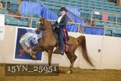 15YN_25051 thumbnail
