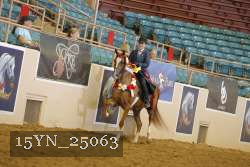 15YN_25063 thumbnail