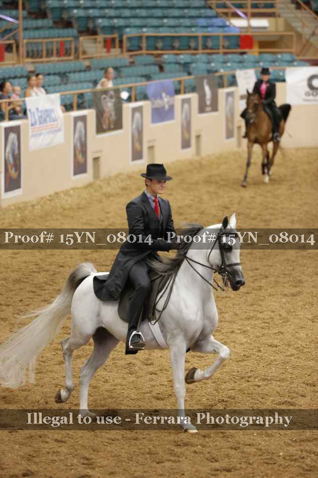 Proof Number 15YN_08014