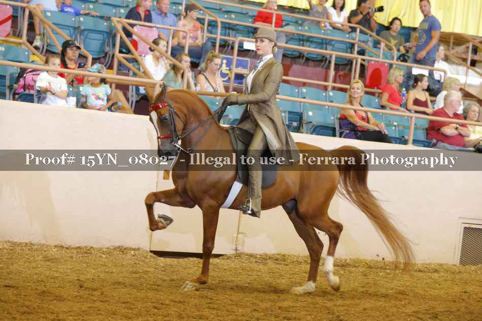 Proof Number 15YN_08027