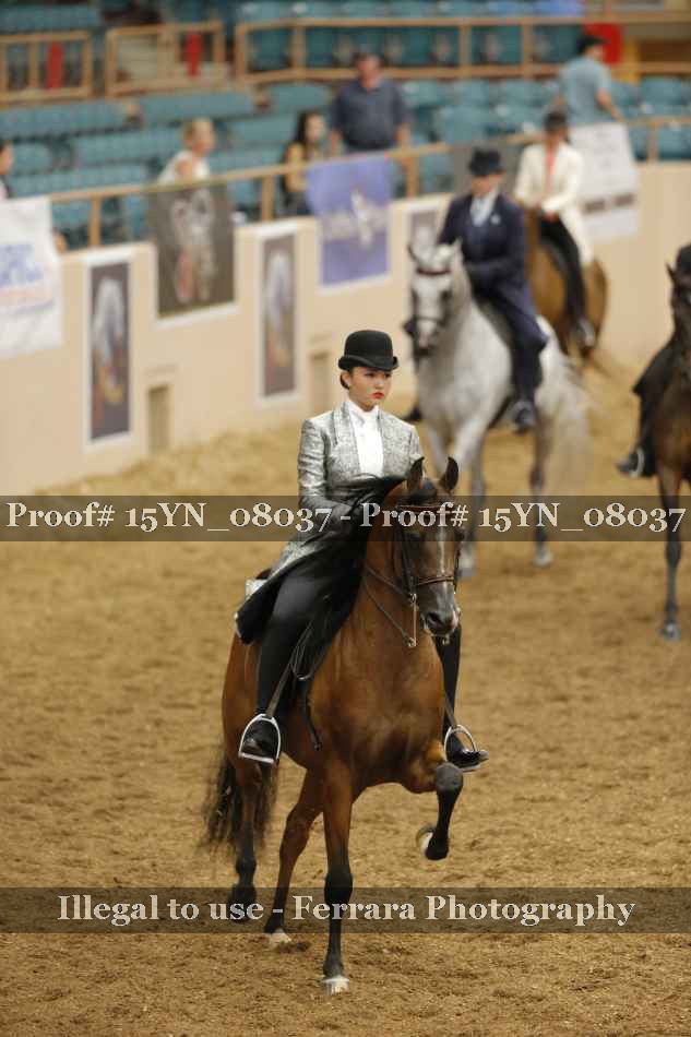 Proof Number 15YN_08037