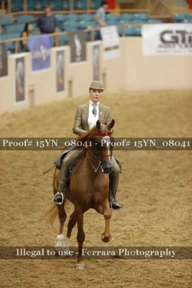 Proof Number 15YN_08041