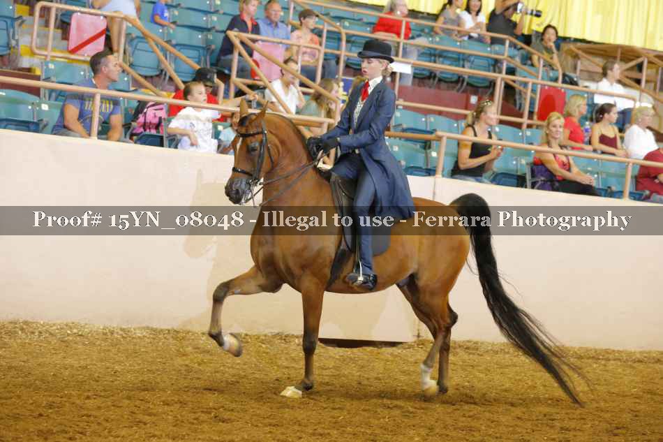 Proof Number 15YN_08048