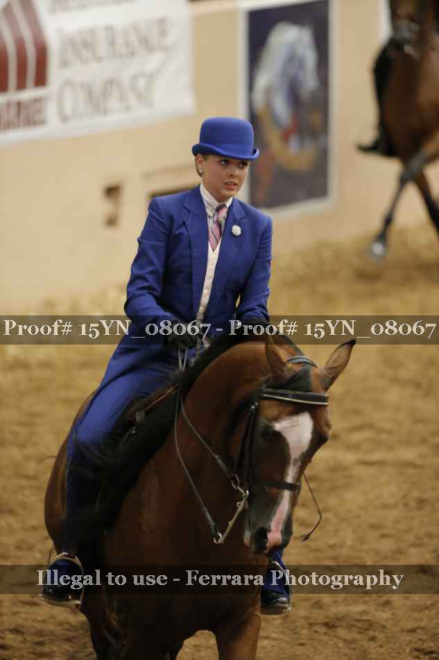 Proof Number 15YN_08067