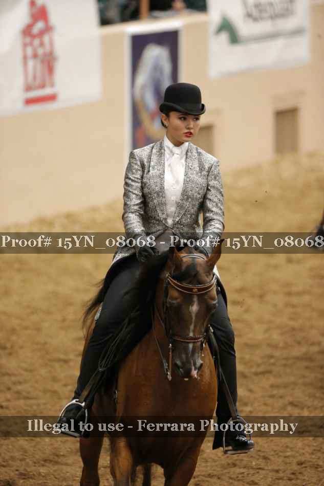 Proof Number 15YN_08068