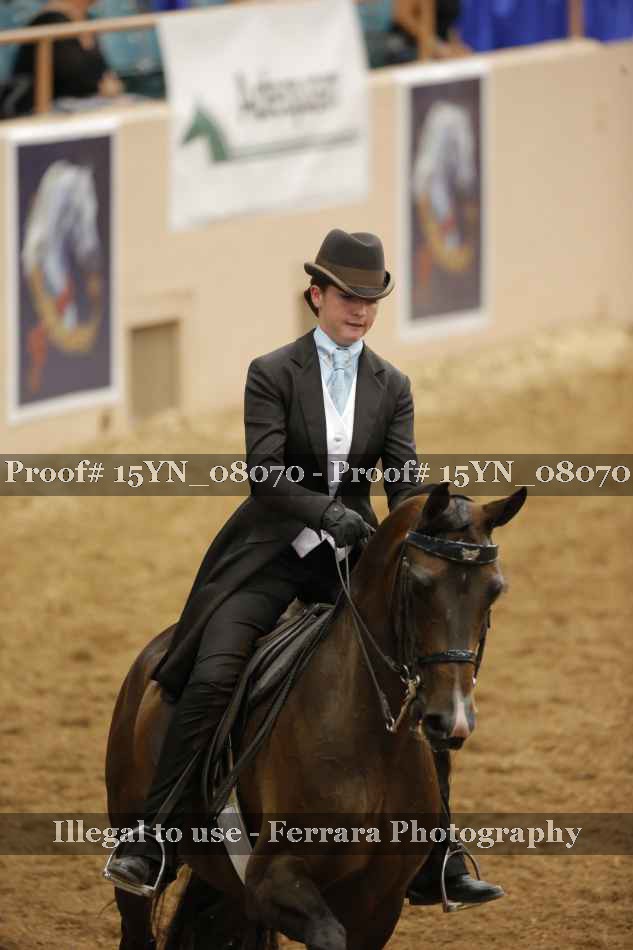 Proof Number 15YN_08070