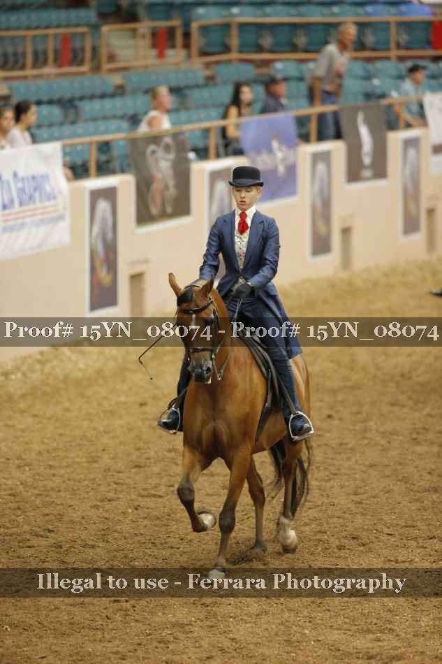 Proof Number 15YN_08074