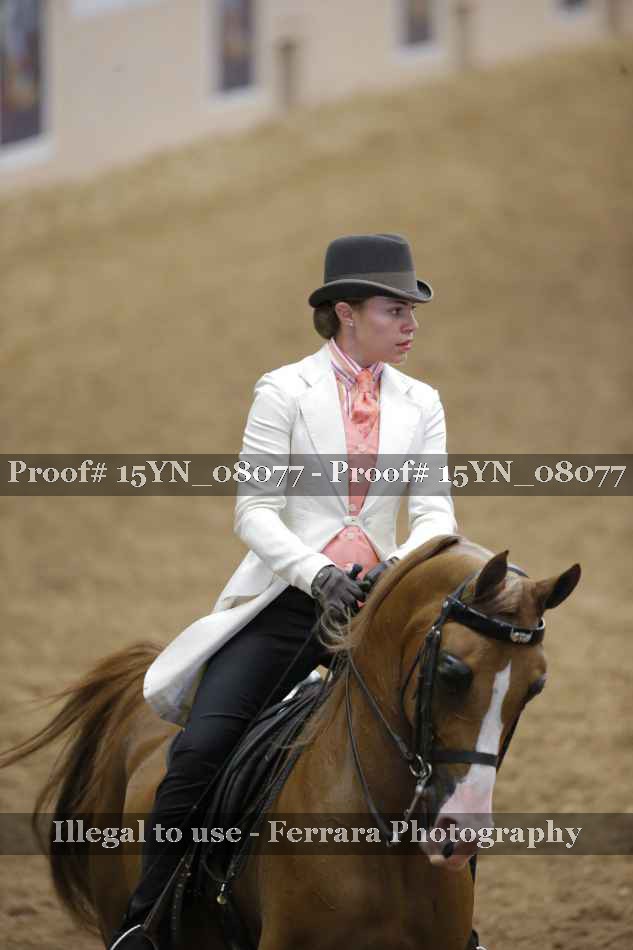 Proof Number 15YN_08077